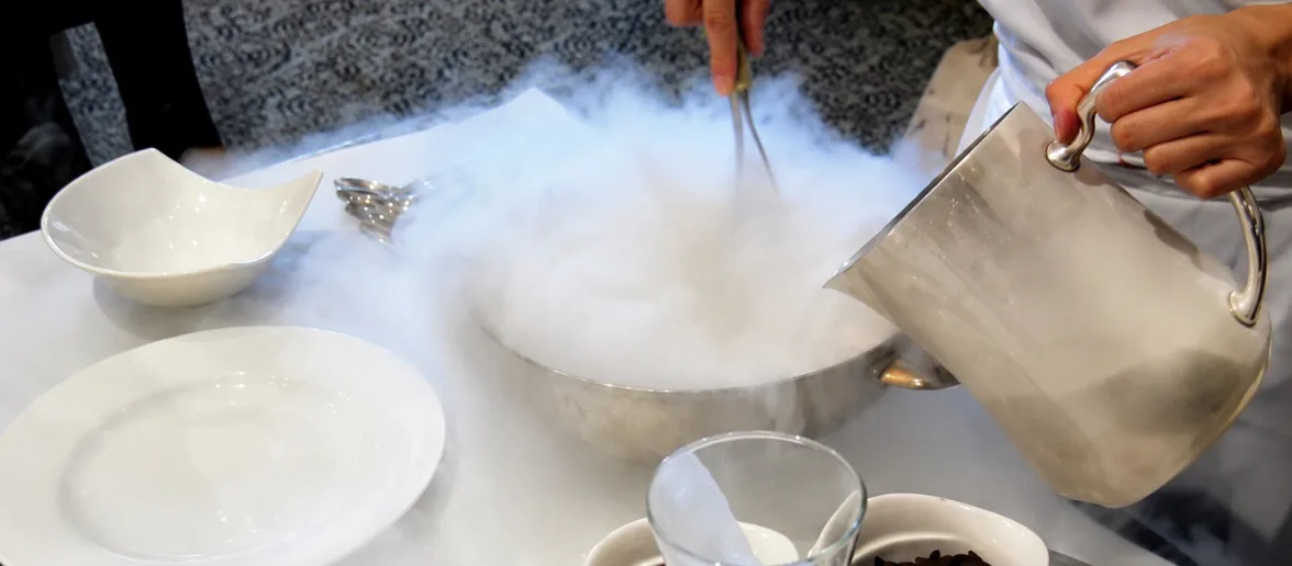 Frozen Culinary Arts